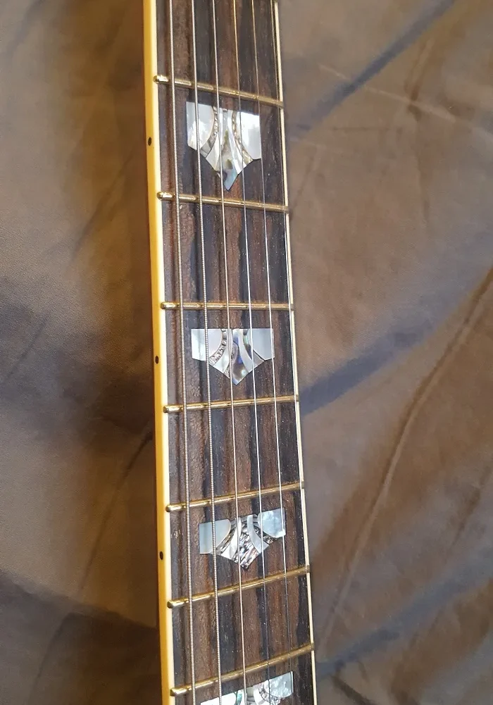 Close-up of guitar fretboard showing dark wood grain, metal frets, and decorative inlays.