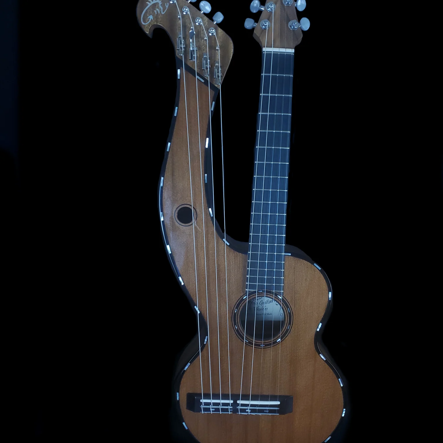 Double-neck ukulele featuring standard fretted neck and extended harp-style strings.